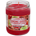 12ct. Cinnamon Apple Smoke Odor Candles 13oz. by Smoke Odor - Wholesale