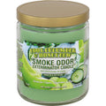 12ct. Cool Cucumber & Honeydew Smoke Odor Candles 13oz by Smoke Odor - Wholesale