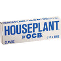 24 Ct. Classic 1.25" Papers Houseplant by Ocb by OCB - Wholesale
