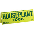 24 Ct. Bamboo 1.25" Papers Houseplant by Ocb by OCB - Wholesale