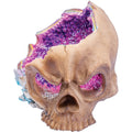 Gem Skull Polystone Ashtray by Fujima - Wholesale