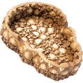 Skull Polystone Ashtray by Connection Store - Old HBH Wholesale - Wholesale