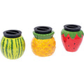 6Count Medium Fruit Stash Jars by Fujima - Wholesale