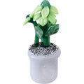 4.5" Garden Plant Hand Pipe - Green by Green Flower - Wholesale